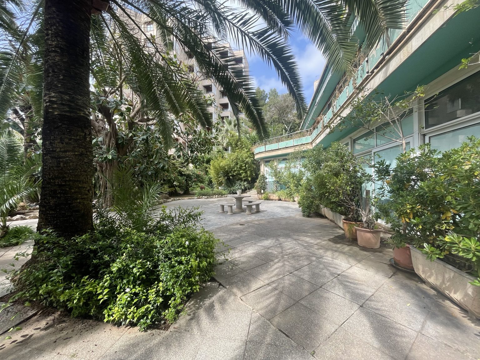 The Secret Garden today: mature palms, paved courtyard, stone bench beneath the building